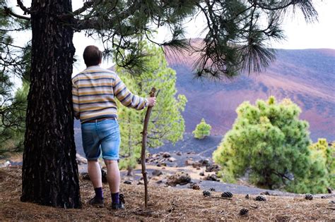 Explore the 3 Best Hiking Trails in Tenerife if you Love Nature