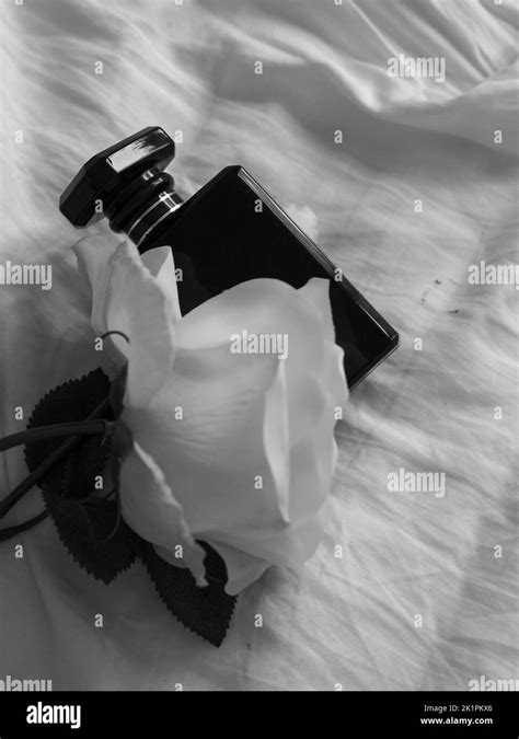 Rose perfume bottle Black and White Stock Photos & Images - Alamy