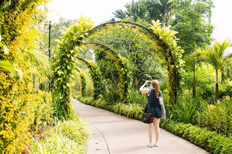 National Orchid Garden - The home of different species of Orchids