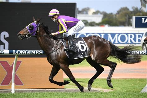 Shamus Award Stakes-Winner has Golden Eagle Aim! - Rosemont Estate