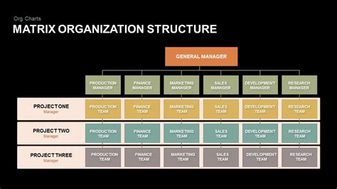 Matrix Organizational Structure PowerPoint Template | Slidebazaar