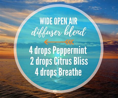 Essential Oil Diffuser Blends, Doterra Essential Oils, Essential Oil ...