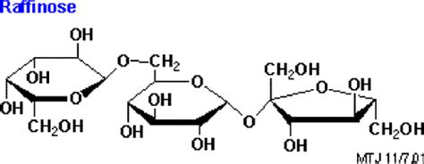 Raffinose ~ Everything You Need to Know with Photos | Videos