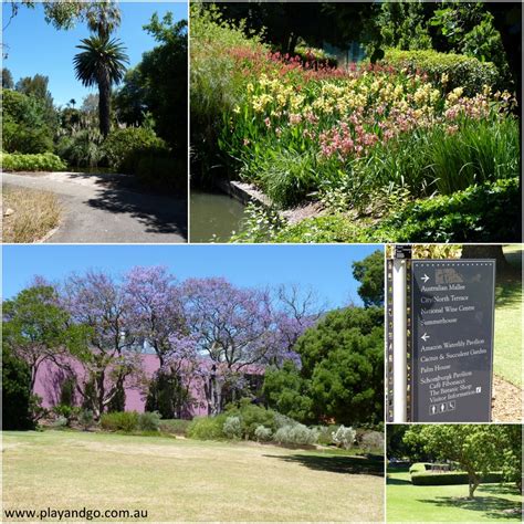 Adelaide Botanic Garden | Learn, Play & Explore | Review - What's on for Adelaide Families & Kids