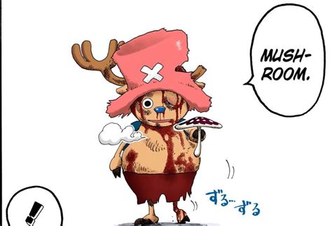 Typical Joe on Twitter: "#ONEPIECE Theory Chopper's Devil Fruit Awakening"