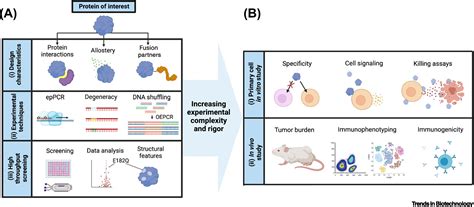 Protein engineering: a driving force toward synthetic immunology: Trends in Biotechnology