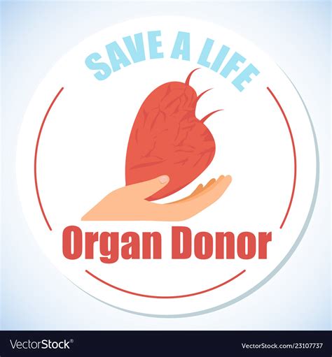 Organ donation to save life flat icon Royalty Free Vector