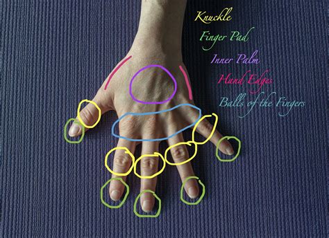 Correct Hand Placement for Yoga Poses — Lana Reed