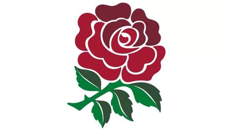 England Rugby Team History: Top 10 Fun Facts – Games Fun Facts