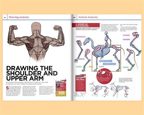 Book: How to Draw and Paint Anatomy Book Drawing Anatomy - Etsy