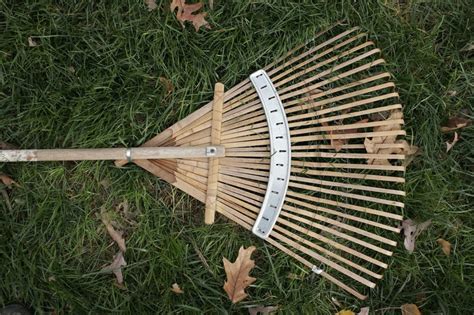 A Guide to Rakes: Types, History and Tips - Lawnstarter