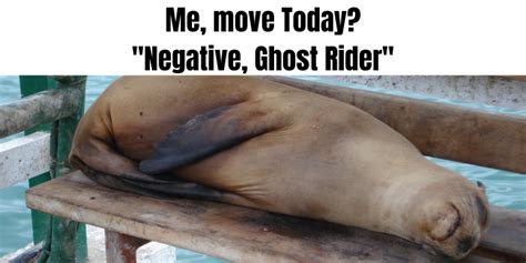 Negative Ghost Rider (Complete Meaning, Origin, and Usage) - Writing Beginner