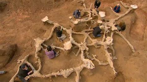 BBC Two - The Burrowers: Animals Underground, Uncovering an underground ...