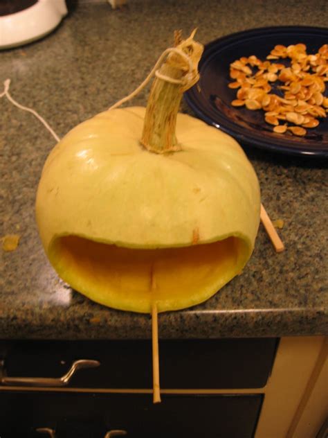 Pumpkin Bird Feeder : 3 Steps (with Pictures) - Instructables