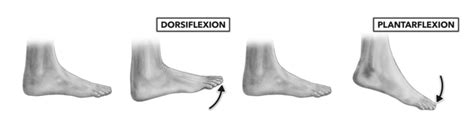 CrossFit | Movement About Joints, Part 7: The Ankle