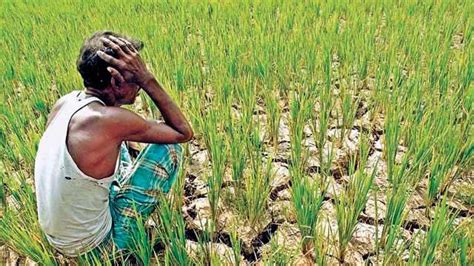 Farmers protests: why India’s agriculture problems are much deeper ...