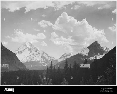 Looking across forest to mountains and clouds "In Glacier National Park" Montana. 1933 - 1942 ...