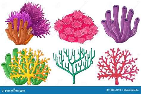 Different Types of Coral Reef Stock Vector - Illustration of botanic ...