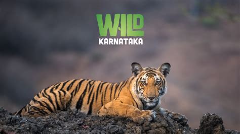 Wild Karnataka - TheTVDB.com