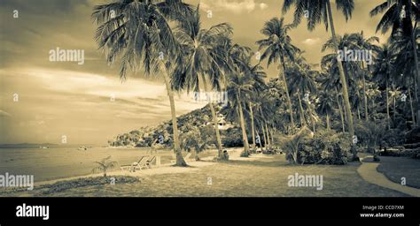 A beach on Ko Phi Phi in Thailand Stock Photo - Alamy