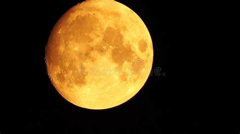 A Glowing Golden Huge Full Moon Seen from Earth through the Atmosphere Against a Starry Night ...