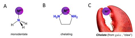 9.2: Nomenclature and Ligands - Chemistry LibreTexts