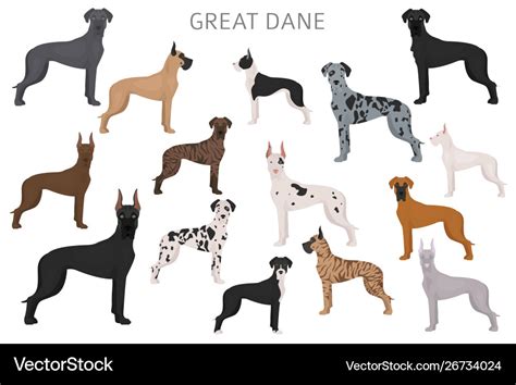 Great Dane Color Breeding Chart