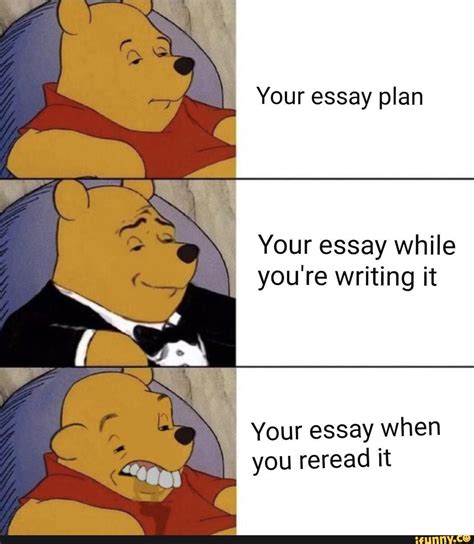 Your essay plan Your essay while you're writing it Your essay when you ...