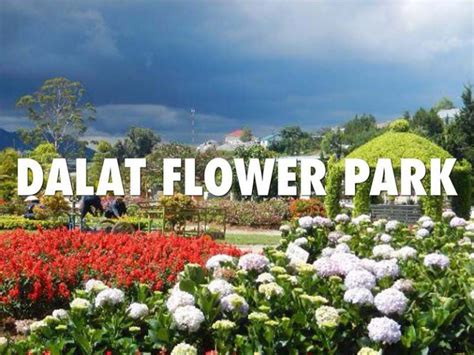 Dalat Flower Garden - Must see in Da Lat Highland, Da Lat Flower