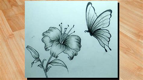 Pencil Flower And Butterfly Drawing