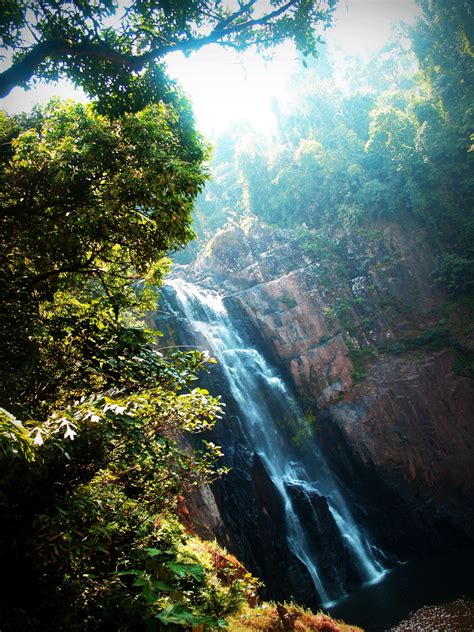 Water Fall Of Khao Yai National Park Free Stock Photo - Public Domain Pictures