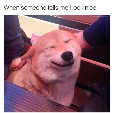 aww thanks! : r/memes