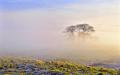 Morning fog scenery wallpaper | 2560x1600 | #31020