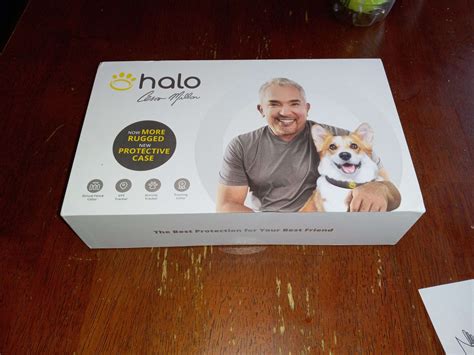 My 3 Month Halo Collar Review - Webwej