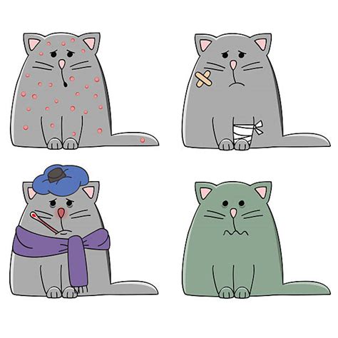 Sad Cat Illustrations, Royalty-Free Vector Graphics & Clip Art - iStock