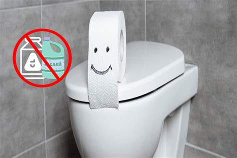 14 Sustainable Eco-Friendly Toilet Paper Alternatives - Energy Theory