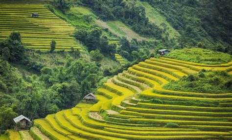 Mu Cang Chai among world's 19 most beautiful mountains - Vietnam Insider