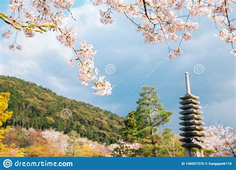 Kiyomizu-dera Temple with Cherry Blossoms in Kyoto, Japan Stock Photo ...