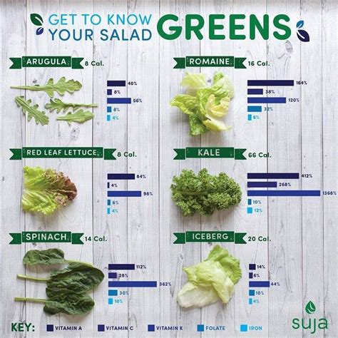 Get to know your salad greens! #arugula #romaine #redleaflettuce #kale #spinach #iceberg Spinach ...