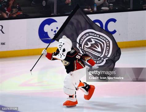 Mighty Ducks Mascot Photos and Premium High Res Pictures - Getty Images