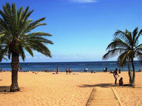 Things to do in Tenerife Canary Islands: A Travel Guide