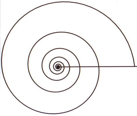 Spiral Line Drawing at PaintingValley.com | Explore collection of ...