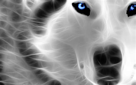 Wolf Animal 3D Wallpaper HD Widescreen For Your PC Desktop | Wolf wallpaper, Wolf pictures ...