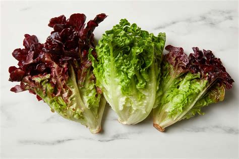 12 Different Types Of Lettuce Differences Between Types Of, 57% OFF