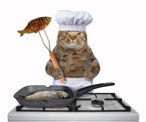 1,119 Cat Chef Stock Photos - Free & Royalty-Free Stock Photos from ...