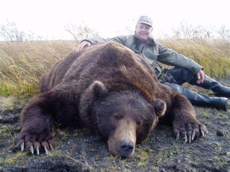 Giant Alaska Peninsula Brown Bear - Great Value - Worldwide Trophy Adventures