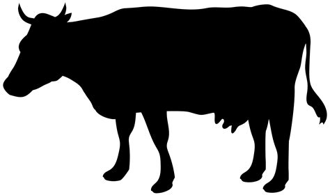 Jersey cattle Silhouette Dairy farming - Silhouette png download - 8000 ...