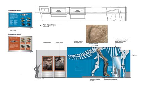 The Witte Museum: Dinosaur Gallery :: Behance