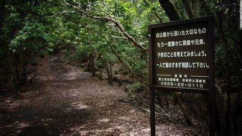 Inside Japan's 'suicide forest' - CNN