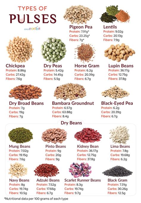 List of Different Types of Pulses With Pictures